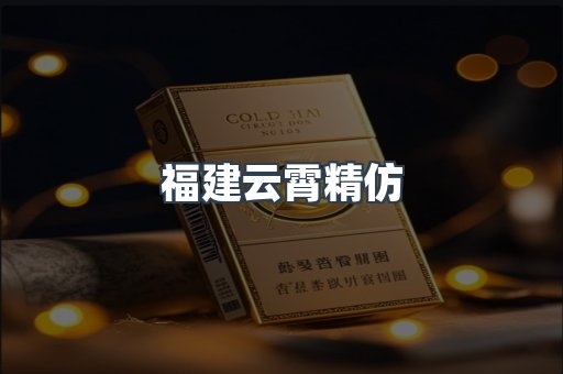 福建云霄精仿